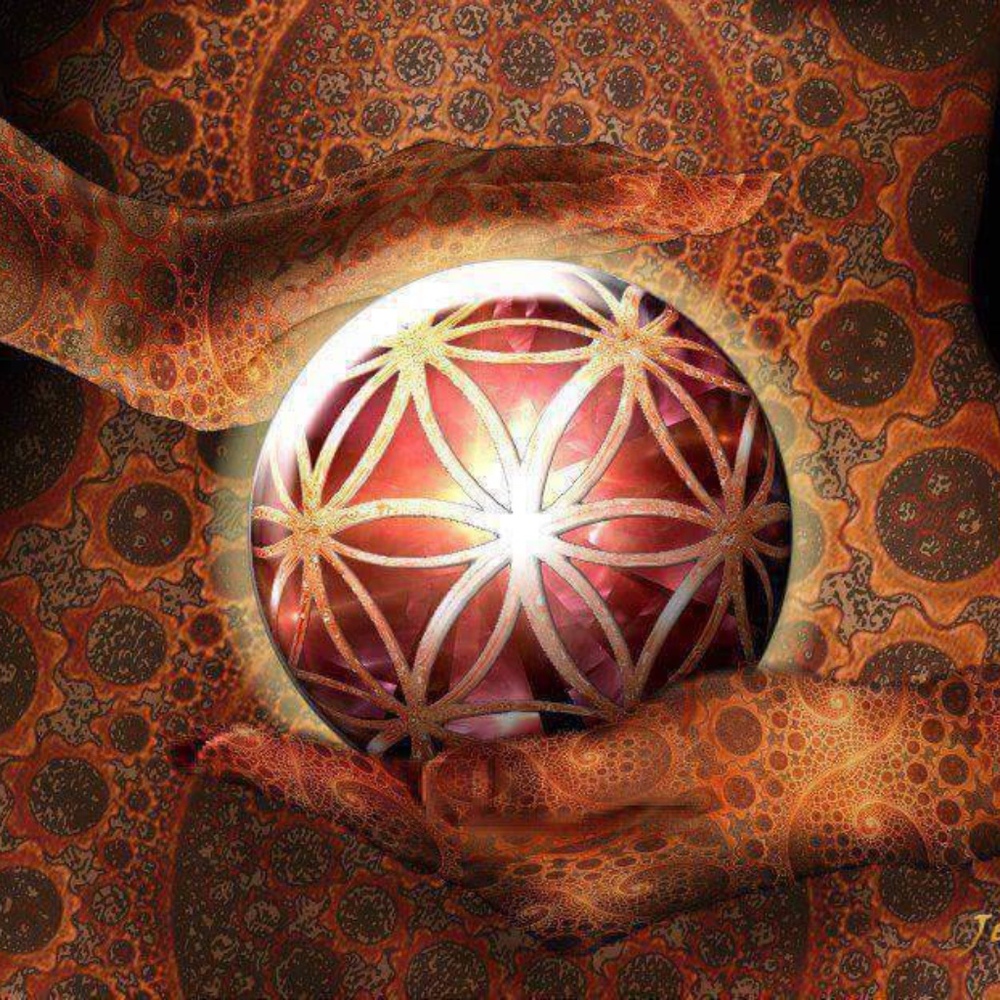 Meet your Posher, Demetra